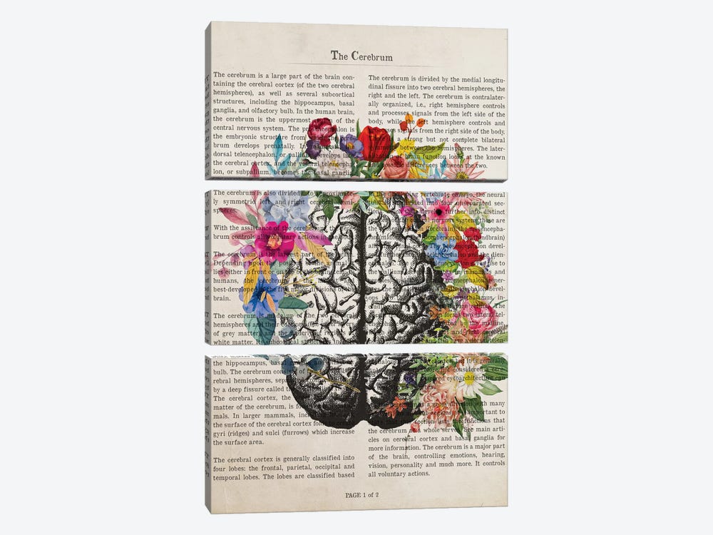 The Cerebrum by Aged Pixel 3-piece Canvas Artwork