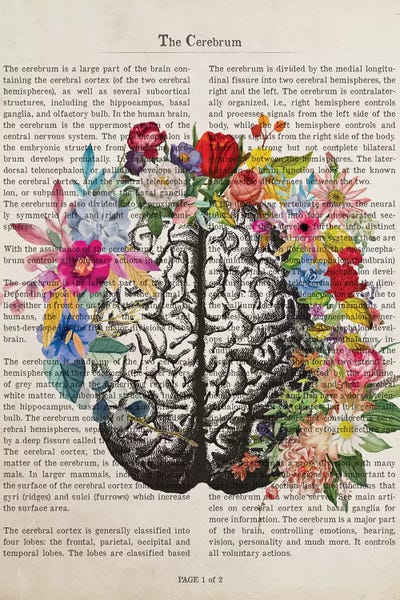 Science: The Cerebrum by Aged Pixel