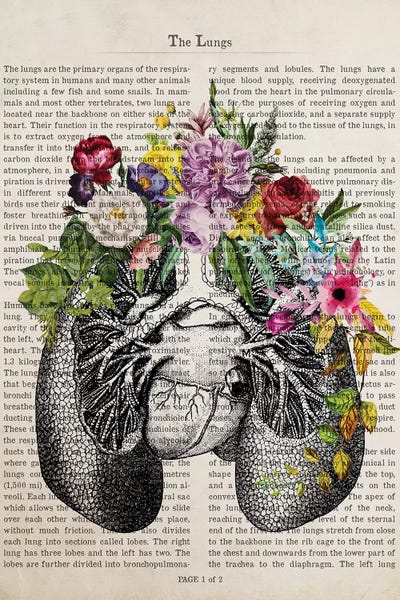 Science: The Lungs by Aged Pixel