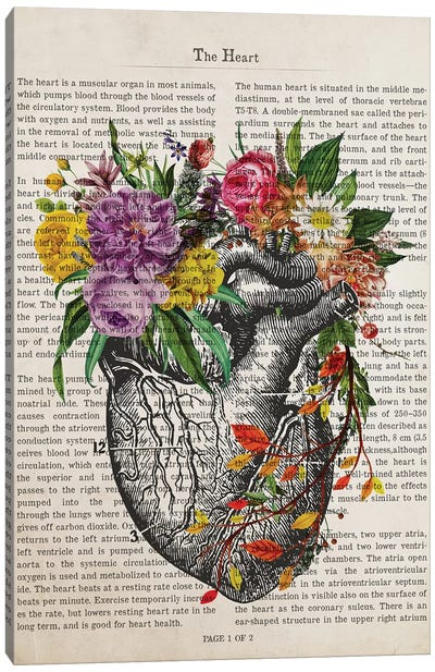 The Heart Canvas Art Print - Anatomy Art