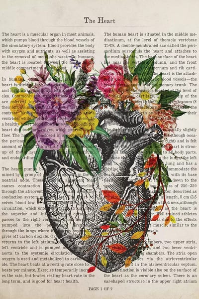 Dark Academia: The Heart by Aged Pixel