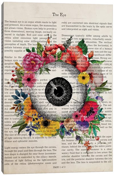 The Eye Canvas Art Print - Aged Pixel
