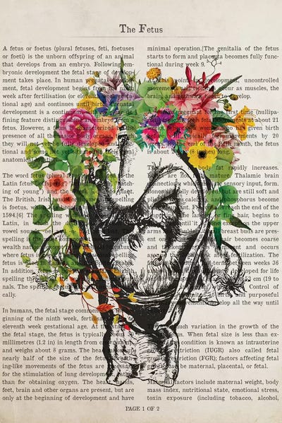 Biology: The Fetus by Aged Pixel