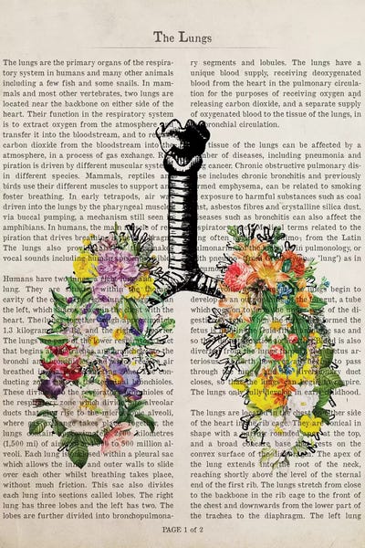 Biology: The Lungs With Flowers by Aged Pixel