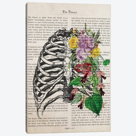 The Thorax Canvas Print #ADP3223} by Aged Pixel Art Print