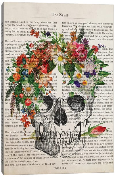 The Skull Canvas Art Print - Anatomy Art