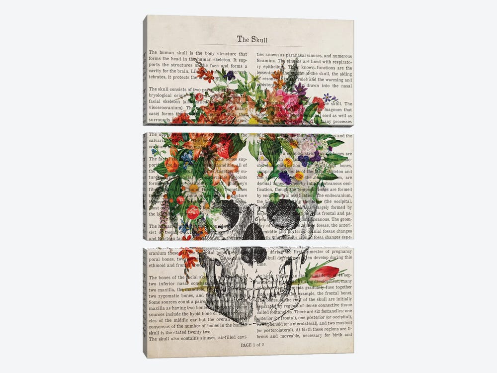 The Skull by Aged Pixel 3-piece Art Print