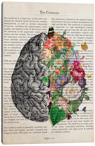 Brain Art Flower Anatomy Print Canvas Art Print - Educational Art