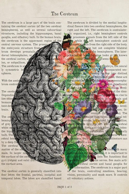 Brain Art Flower Anatomy Print by Aged Pixel wall art