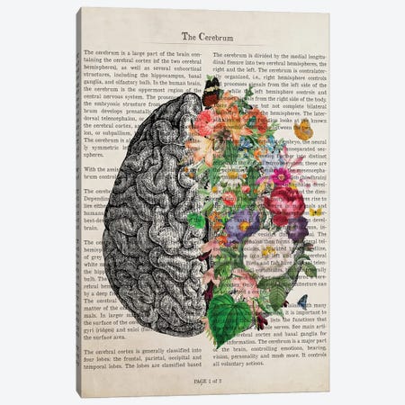 Brain Art Flower Anatomy Print Canvas Print #ADP3226} by Aged Pixel Canvas Artwork