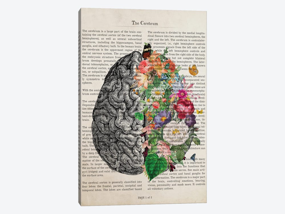 Brain Art Flower Anatomy Print by Aged Pixel 1-piece Art Print