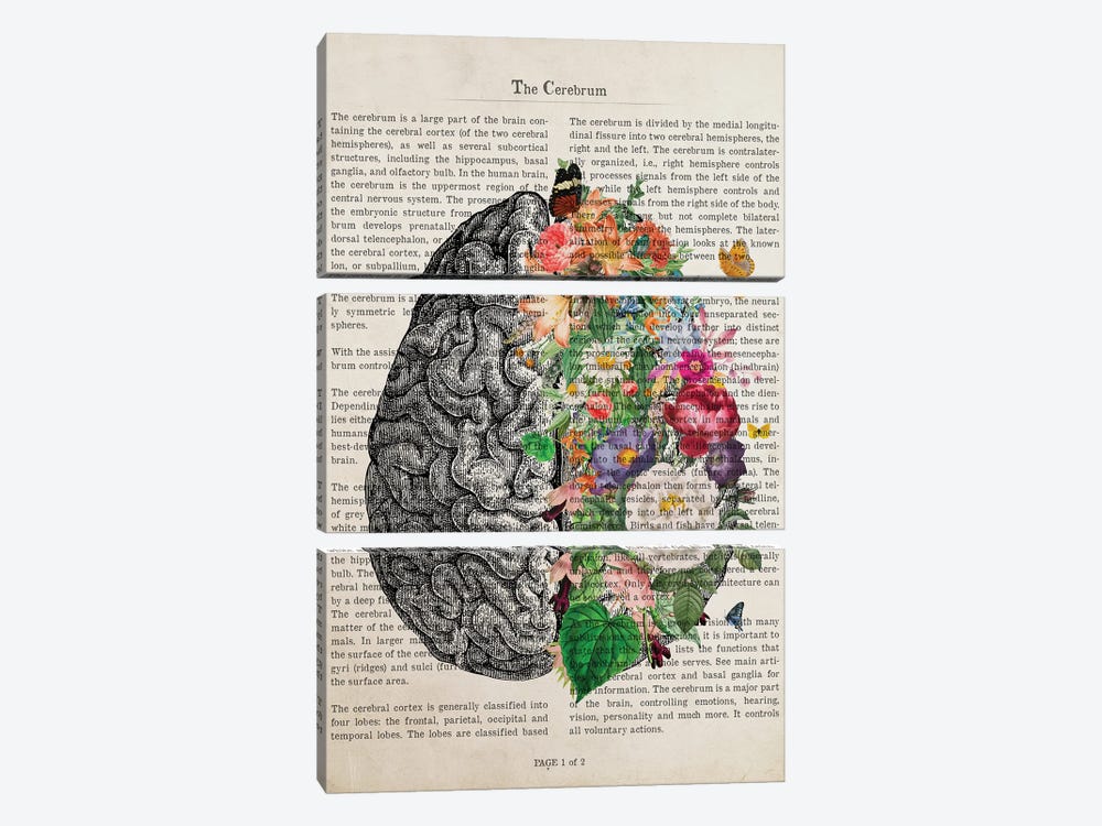 Brain Art Flower Anatomy Print by Aged Pixel 3-piece Canvas Art Print