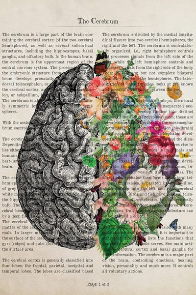 Science: Brain Art Flower Anatomy Print by Aged Pixel