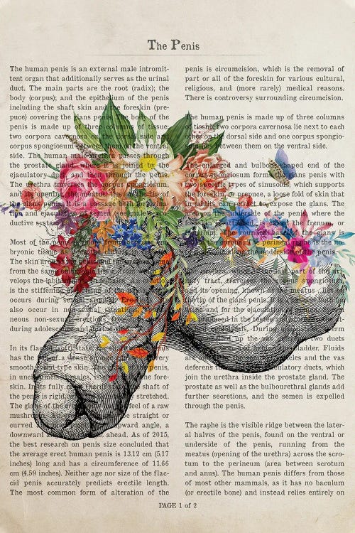Penis Flower Anatomy Print Canvas Wall Art by Aged Pixel | iCanvas