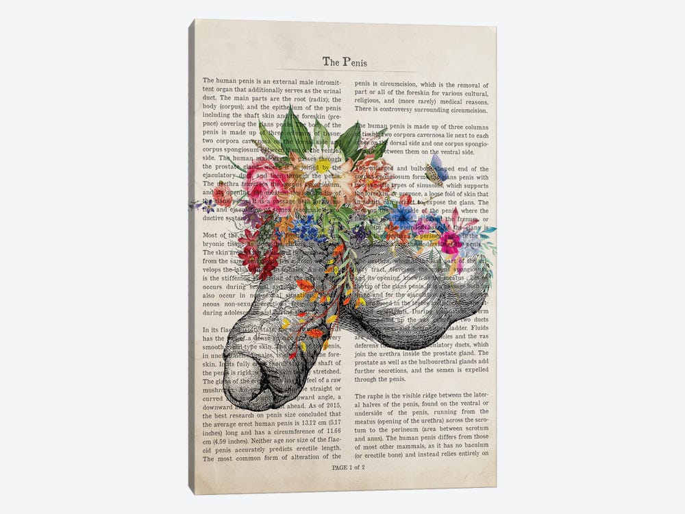 Penis Flower Anatomy Print by Aged Pixel 1-piece Canvas Artwork