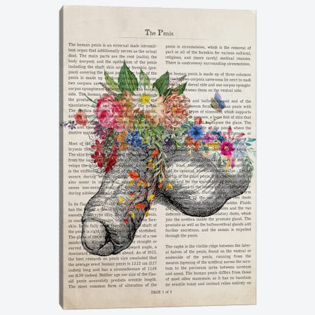 Penis Flower Anatomy Print Canvas Print #ADP3227} by Aged Pixel Canvas Wall Art