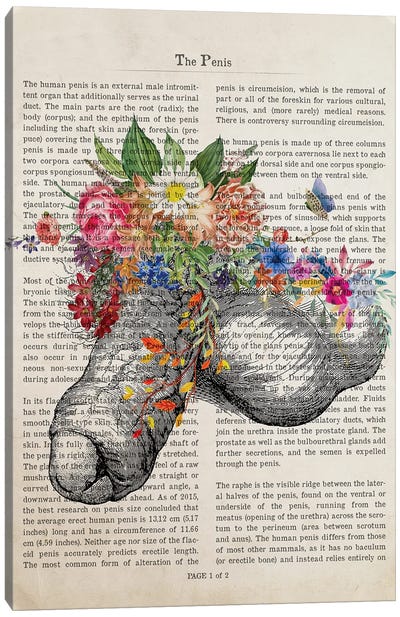 Penis Flower Anatomy Print Canvas Art Print