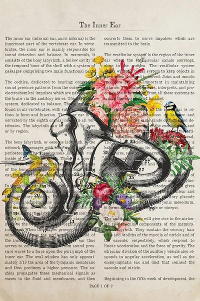 Inner Ear Anatomy Flower Print by Aged Pixel canvas print
