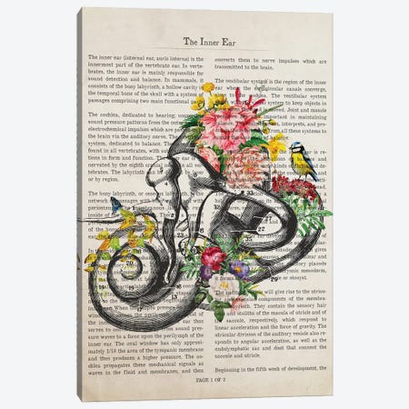 Inner Ear Anatomy Flower Print Canvas Print #ADP3228} by Aged Pixel Art Print