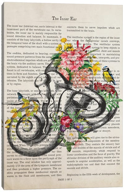 Inner Ear Anatomy Flower Print Canvas Art Print - Anatomy Art