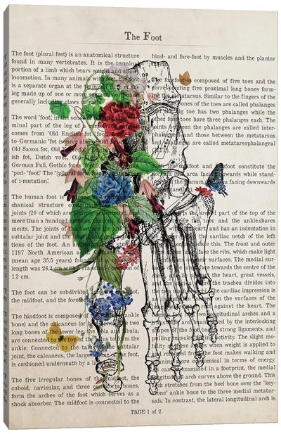 Foot Art Flower Anatomy Print Canvas Art Print - Anatomy Art