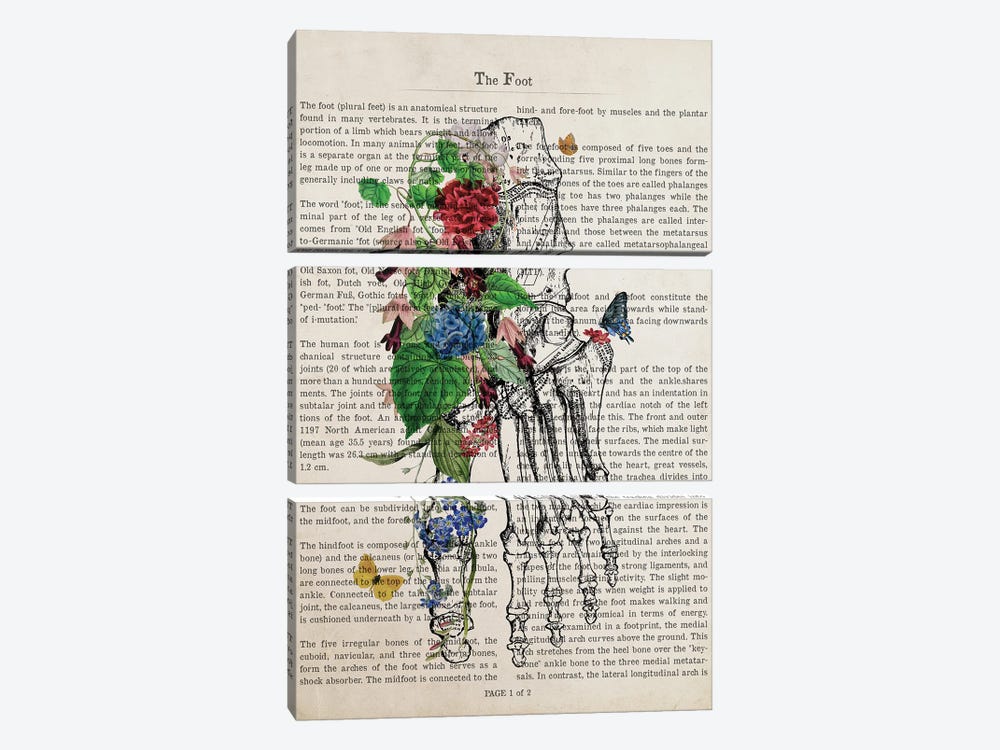 Foot Art Flower Anatomy Print by Aged Pixel 3-piece Canvas Art