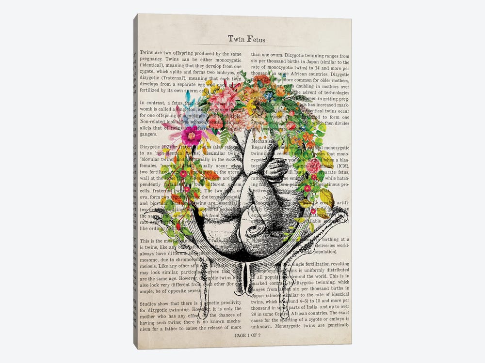 Twin Fetuses In Womb Flower Anatomy Print by Aged Pixel 1-piece Canvas Wall Art