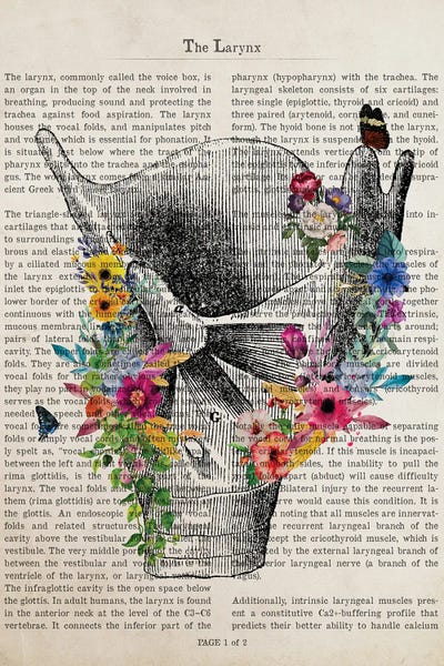 Biology: Larynx Anatomy Print by Aged Pixel