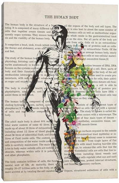 Human Body Anatomy Print Canvas Art Print - Science Art