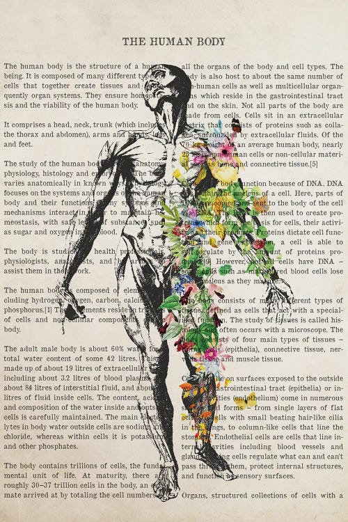 Human Body Anatomy Print