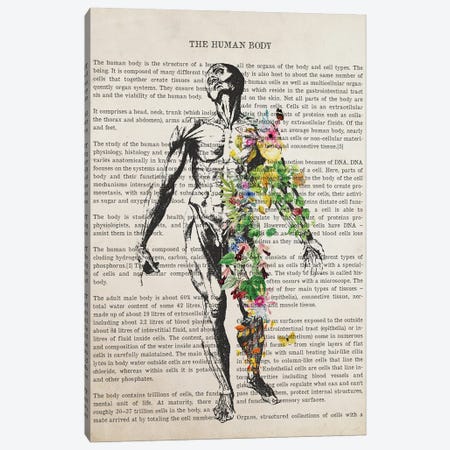 Human Body Anatomy Print Canvas Print #ADP3232} by Aged Pixel Canvas Wall Art
