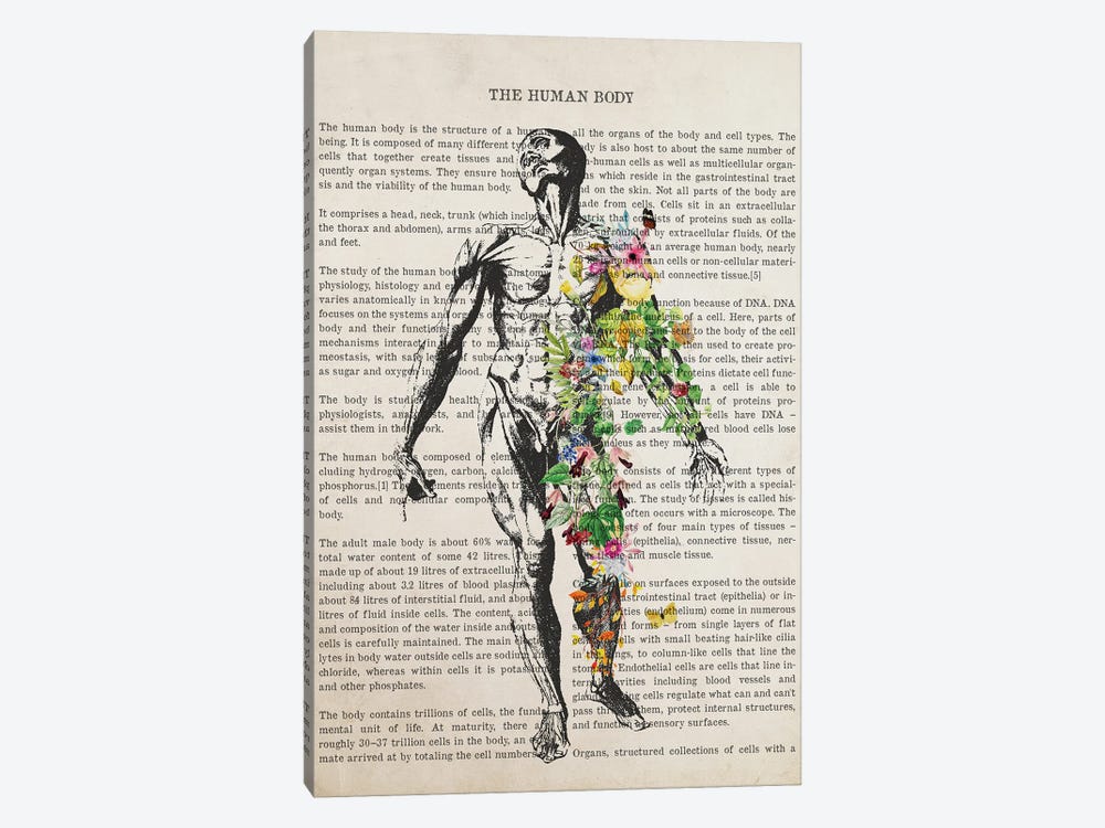 Human Body Anatomy Print by Aged Pixel 1-piece Canvas Art