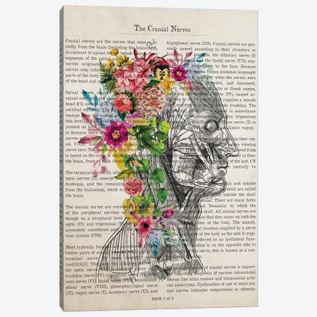 Cranial Nerves Flower Anatomy Print Canvas Print #ADP3233} by Aged Pixel Canvas Artwork