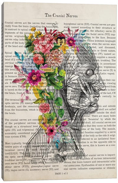 Cranial Nerves Flower Anatomy Print Canvas Art Print - Anatomy Art