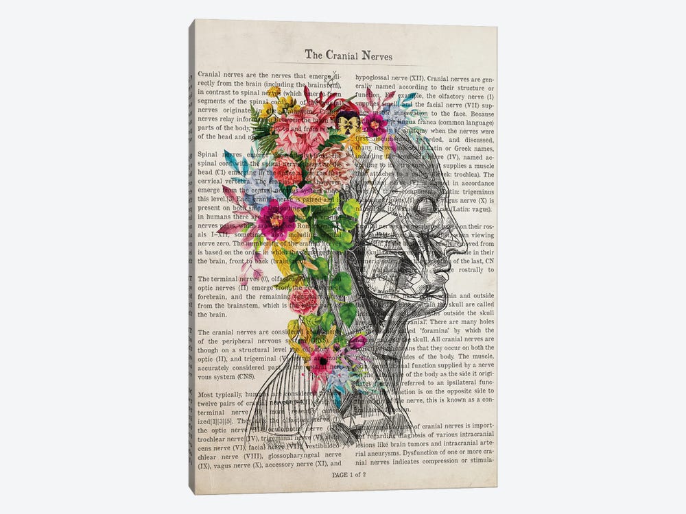 Cranial Nerves Flower Anatomy Print by Aged Pixel 1-piece Canvas Print