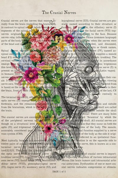 Health & Wellness: Cranial Nerves Flower Anatomy Print by Aged Pixel