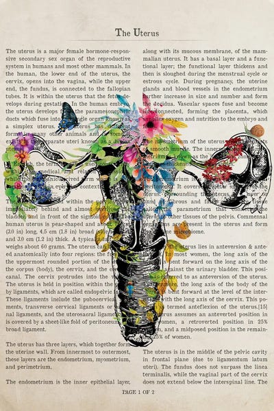 Science: Uterus Anatomy Print by Aged Pixel