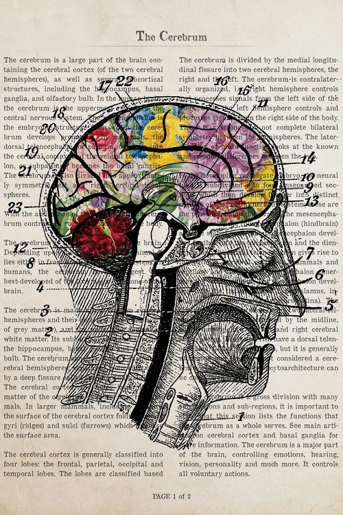 Brain Flower Collage Anatomy Print