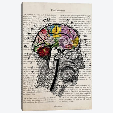 Brain Flower Collage Anatomy Print Canvas Print #ADP3235} by Aged Pixel Art Print
