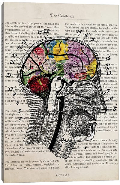 Brain Flower Collage Anatomy Print Canvas Art Print - Anatomy Art