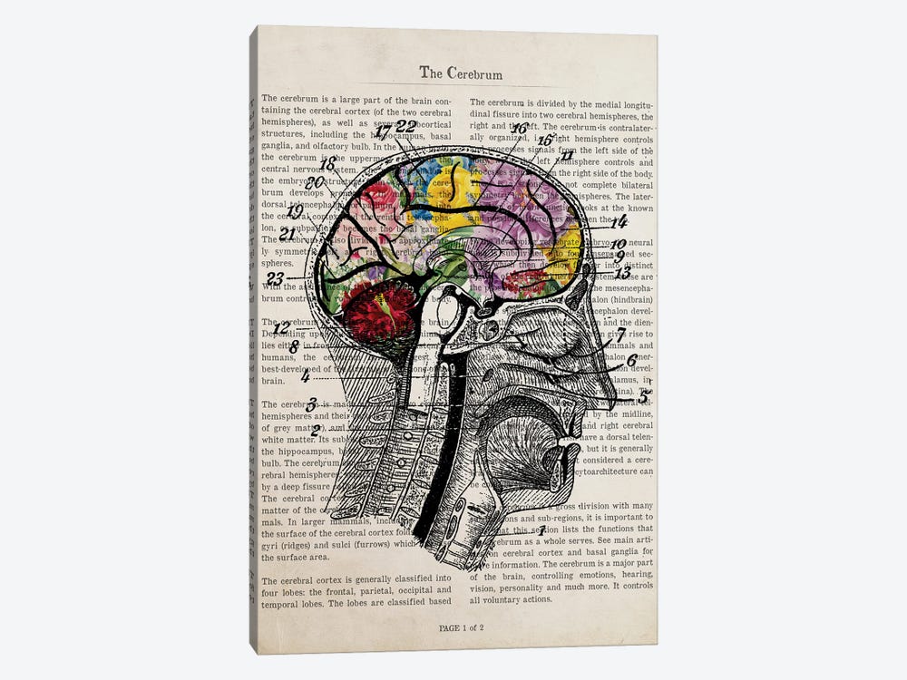Brain Flower Collage Anatomy Print by Aged Pixel 1-piece Canvas Art Print
