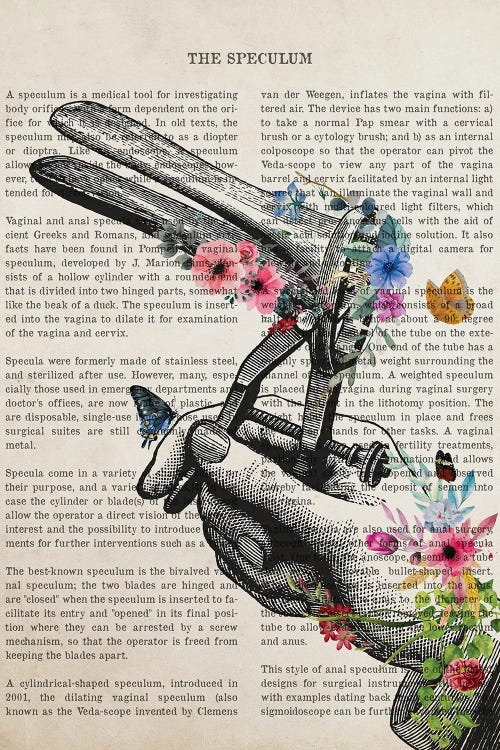 Speculum With Flowers Print by Aged Pixel wall art