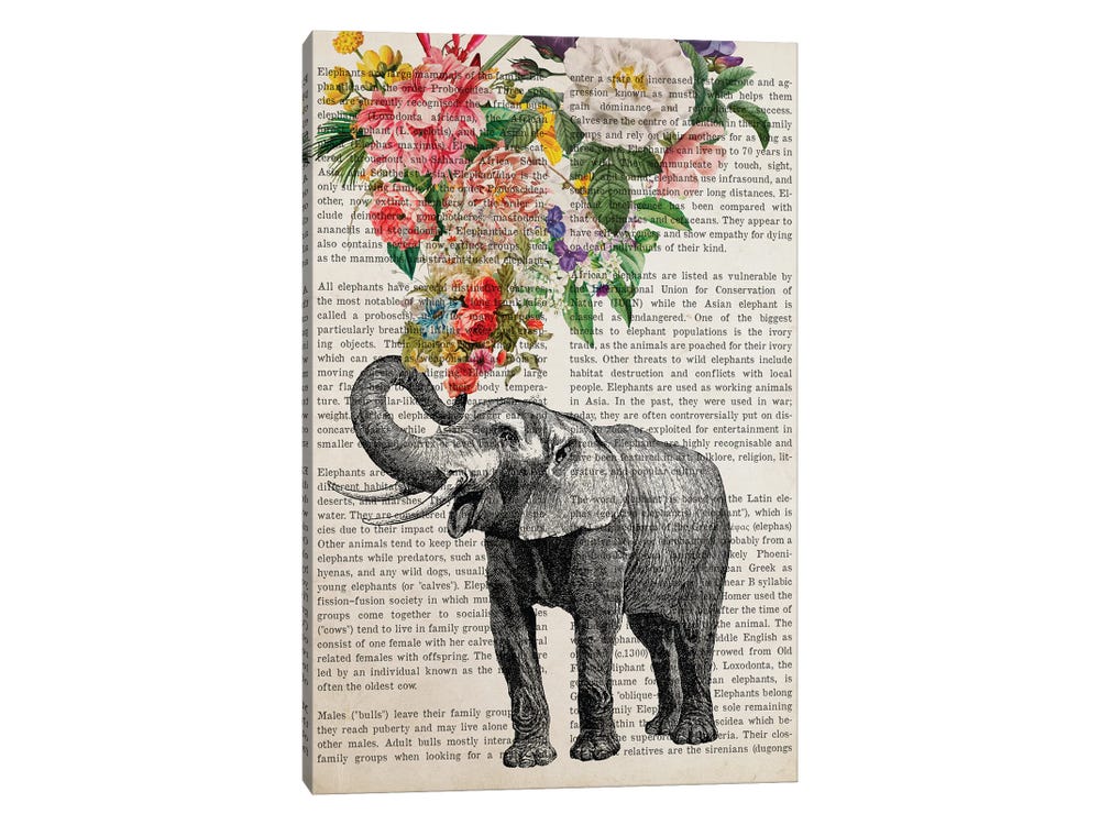 Quer saber tudo sobre a palavra 'Elephant' em inglês?