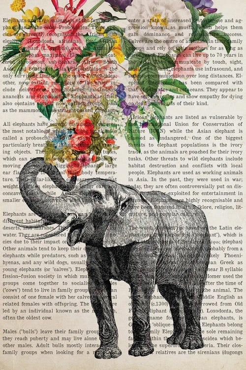 Elephant With Flowers Prints by Aged Pixel wall art