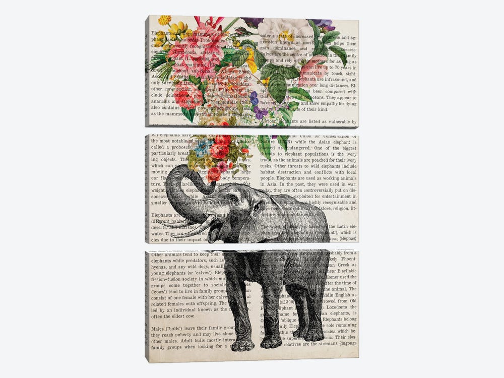Elephant With Flowers Prints by Aged Pixel 3-piece Art Print