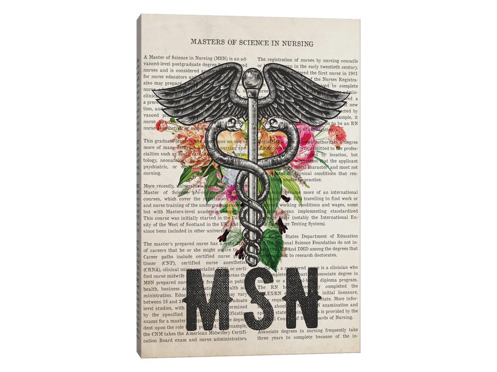 Master of Science In Nursing (MSN)