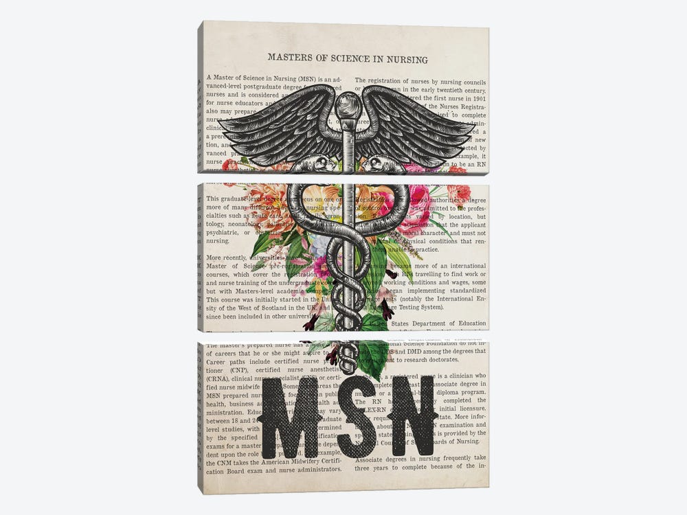 MSN, Masters Of Science In Nursing With Flowers by Aged Pixel 3-piece Canvas Artwork