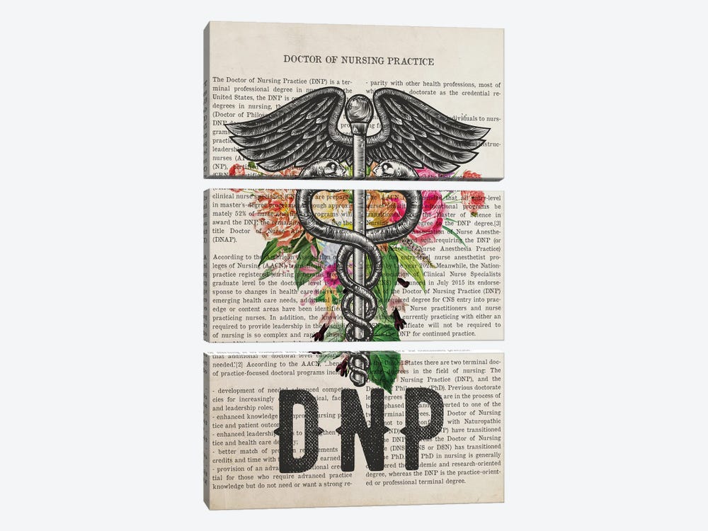 DNP, Doctor Of Nursing Practice With Flowers by Aged Pixel 3-piece Art Print