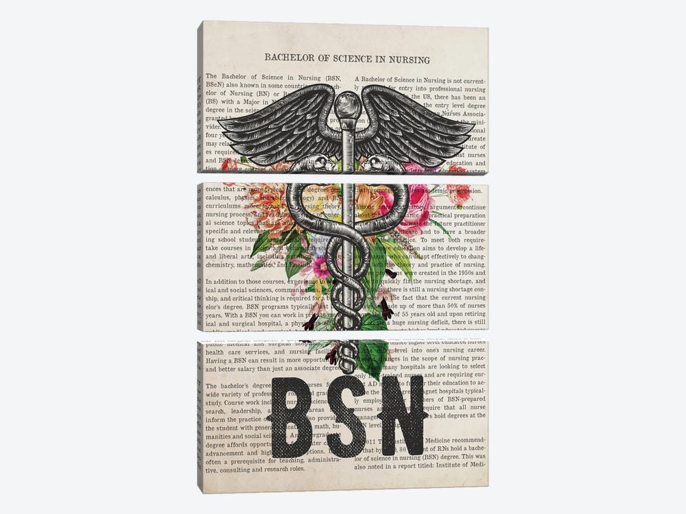 BSN, Bachelor Of Science In Nursing With Flowers by Aged Pixel 3-piece Canvas Artwork