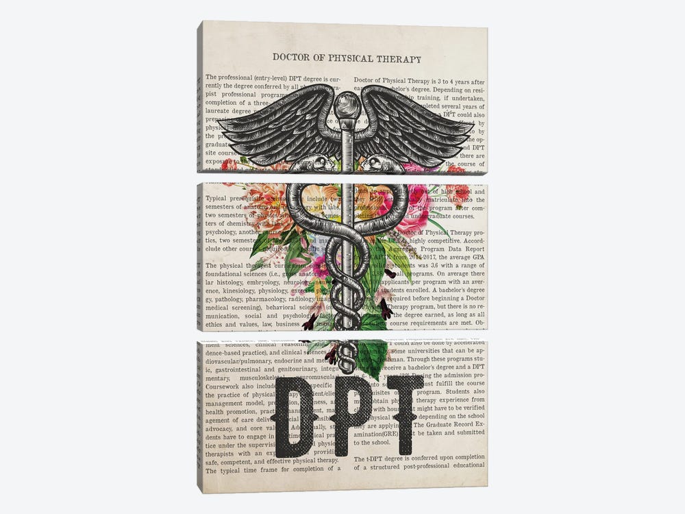 DPT, Doctor Of Physical Therapy With Flowers by Aged Pixel 3-piece Canvas Art